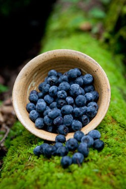 blueberries, nutrition counseling