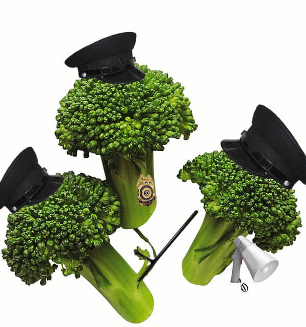 food police, broccoli, tune out the food police, find your nurturing voice