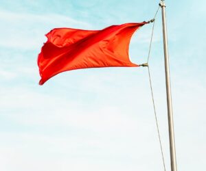 8 Red Flags of Weight Loss Research - Solo Episode