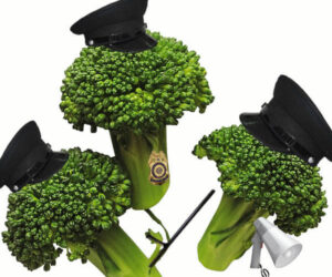 food police, broccoli, tune out the food police, find your nurturing voice