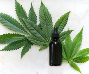 Let's Talk Cannabis - Everything You Need to Know with guest Donna Shields